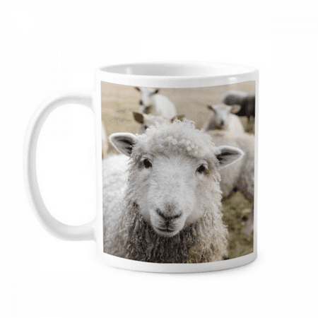 

m Sheep Animal Picture Mug Pottery Cerac Coffee Porcelain Cup Tableware