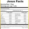 thumbnail image 3 of CafePress - Jesus Facts T Shirt - Light T-Shirt - CP, 3 of 4