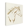 thumbnail image 2 of Trademark Fine Art 'Gilded Filly' Canvas Art by Chris Paschke, 2 of 3
