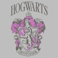 thumbnail image 2 of Mens Harry Potter and the Philosopher's Stone Hogwarts Gryffindor Lightweight Hoodie, 2 of 4