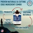 Bloat Relief Probiotic and Digestive Enzymes Anti Bloating Turmeric