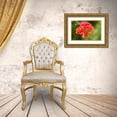 thumbnail image 3 of Jaynes Gallery 18x13 Gold Ornate Wood Framed with Double Matting Museum Art Print Titled - Caribbean-Tobago Close-up of bougainvillea blossoms blossom, 3 of 4