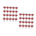 thumbnail image 4 of Hemoton 40 pcs 6mm Motorbike License Plate Screws Motorcycle Modification Screw, 4 of 8