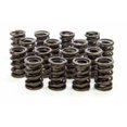 thumbnail image 1 of 9005 1.53 in. Valve Springs, 1 of 1
