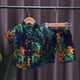 thumbnail image 2 of Odeerbi 1-8 Años Conjunto de Verano Para Niños de Hawaianos Camiseta de Manga Corta de Algodón Con Estampado Tropical Conjunto de Dos Piezas de Gráficos, 2 of 7