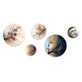 thumbnail image 2 of Designart "Pink and Plum Cherry Blossom Bough III" Tree Cherry Blossom Metal Wall Art Set of 5 Piece, 2 of 5