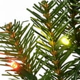 thumbnail image 3 of National Tree Company 9 Foot Norwood Fir Garland with Clear Lights, 3 of 8