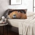 thumbnail image 6 of Xecao Cowboy Hat Guinea Pig for Decorative Throw Pillow Case for Couch,Sofa or Bed Set,Pillow Cover for Sofa Home Decor Ideal Gift-14"x20", 6 of 6