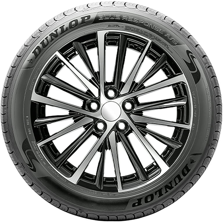 Dunlop Blue Response A/S 195/65R15 91H All Season Tire - Walmart.com