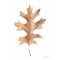 thumbnail image 3 of Nai, Danhui 15x18 Black Modern Framed Museum Art Print Titled - Fallen Leaf I, 3 of 5