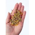 thumbnail image 2 of Herbal Rabbit Food, 2 of 5