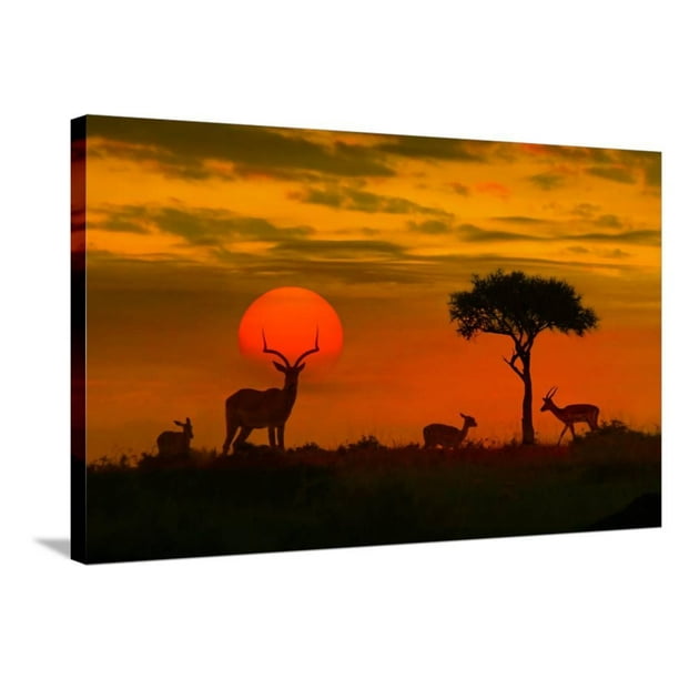 African Sunset with Silhouette of the Animals Stretched Canvas Print