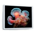 thumbnail image 2 of Designart "Coral Hue And Ebony Anemone Reef" Coastal Coral Under Water Floater Framed Canvas Prints, 2 of 5