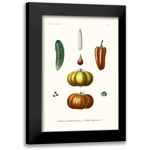 Unknown 11x14 Black Modern Framed Museum Art Print Titled - Fruit And Vegetable Varieties III