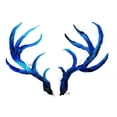 thumbnail image 3 of Medley, Elizabeth 18x13 Black Modern Framed Museum Art Print Titled - Blue Antlers, 3 of 5