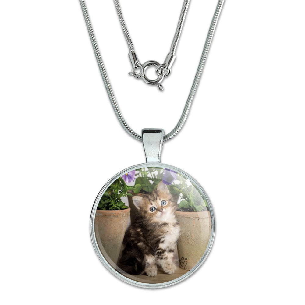 Black Ragdoll Tiffany Cat Kitten Hearts 