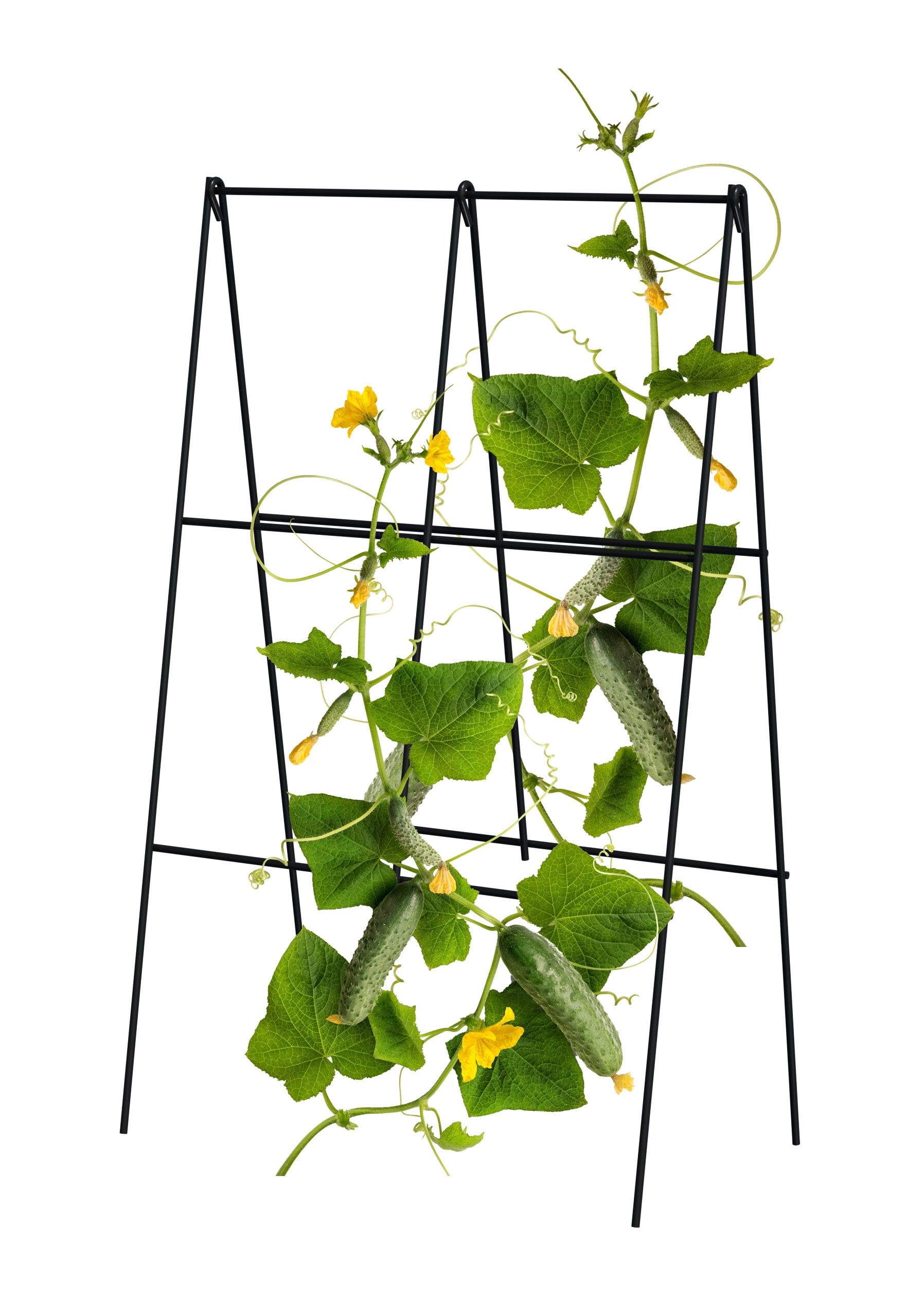 Panacea A-Frame Black Garden Trellis, 6 Count - Metal Folding Garden A Frame Trellis for Vegetables