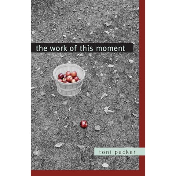 Pre-Owned The Work of This Moment (Paperback) 1590304535 9781590304532
