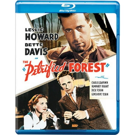The Petrified Forest (Blu-ray) (Best Time To Visit Petrified Forest National Park)