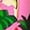 Pink, variant on Women'S Skirt Midi Skirt Tropical Plant Print Pink Zipper A-Line Long Skirts Spring Summer Skirt Floral Blue M
