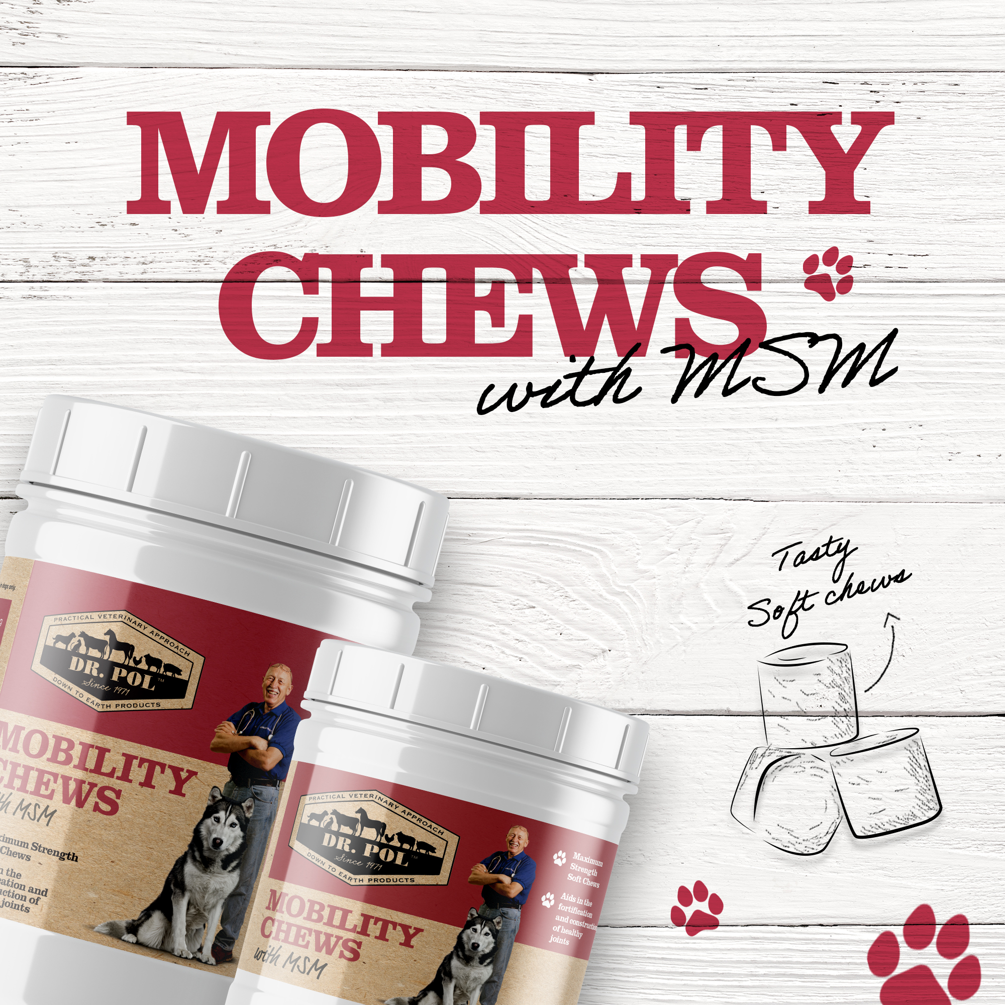 Dr. Pol Mobility Chews with MSM - Glucosamine for Dogs 50 Count