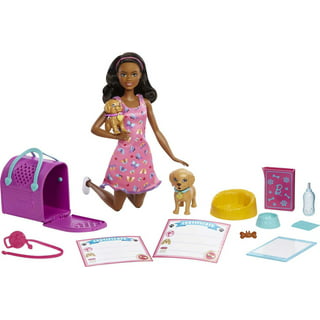 Barbie Careers Dentist Doll and Playset with Accessories, Barbie Toys