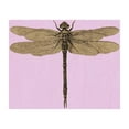 thumbnail image 3 of CafePress - Dragonfly Vintage - Women's Nightshirt, 3 of 4