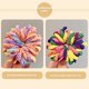thumbnail image 1 of Banda de goma para niños, banda para el cabello para bebés, banda para el cabello, accesorios para el cabello, cuerda para el cabello para niñas, banda para el cabello de alta elasticidad que no daña, 1 of 1