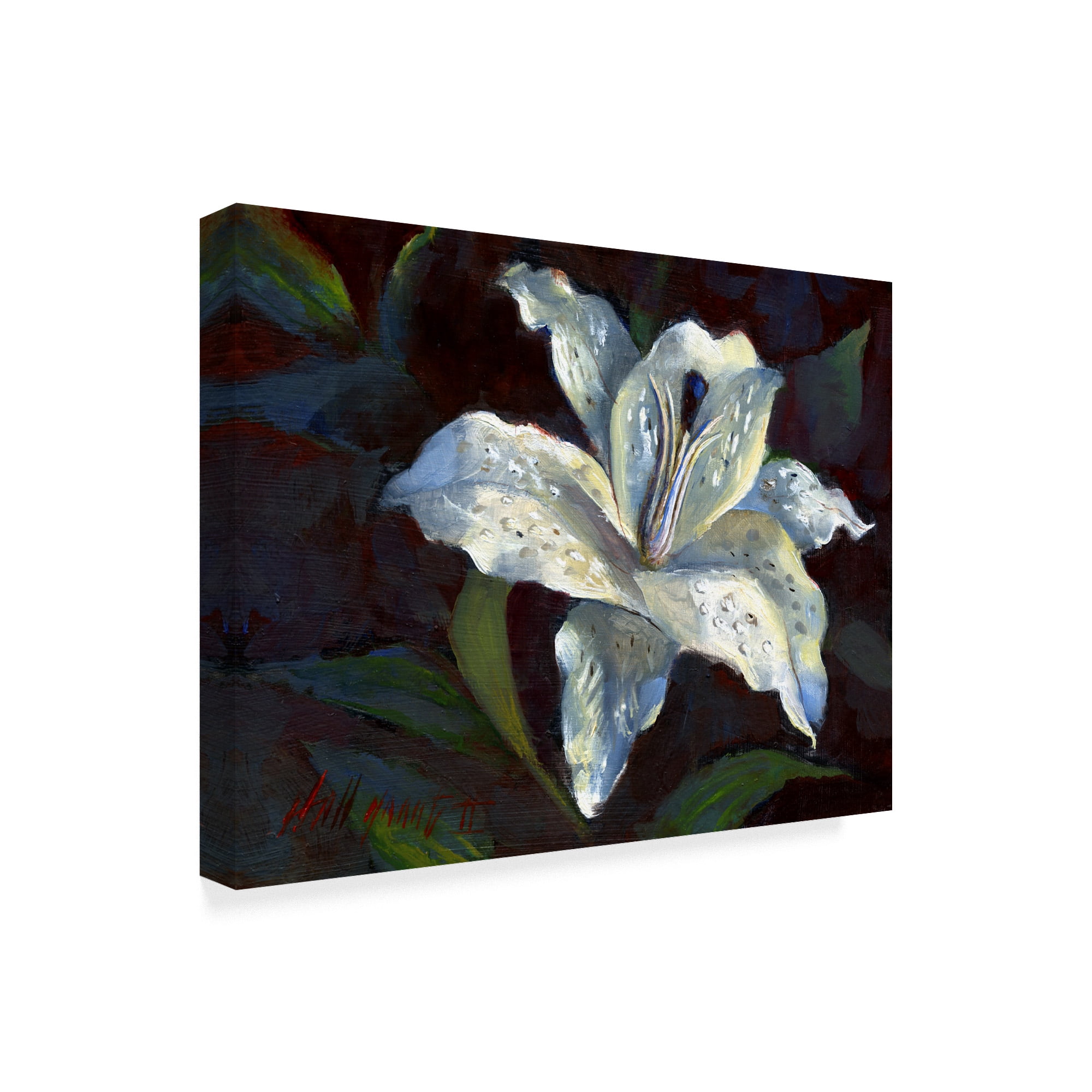 Trademark Fine Art 'White Lily Dark' Canvas Art by Hall Groat Ii