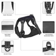 thumbnail image 6 of Lsque Beautiful Roses Dog Harness, No-Pull Pet Harness with 2 Leash Clips, Adjustable Soft Padded Dog Vest with Easy Control Handle for Large Dogs-X-Large, 6 of 9