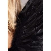Fallen Black Angel Wings