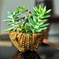 thumbnail image 2 of Top Collection 5" x 5.25" Basket-Shaped Brown Resin Plant Planter with Hand-Painted Motifs, 2 of 2