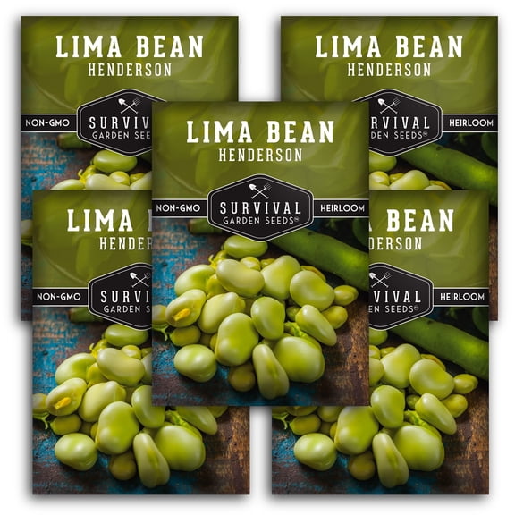 Henderson Lima Bean Seed - Heirloom Full Sun Annual Vegetable - 5 Packs