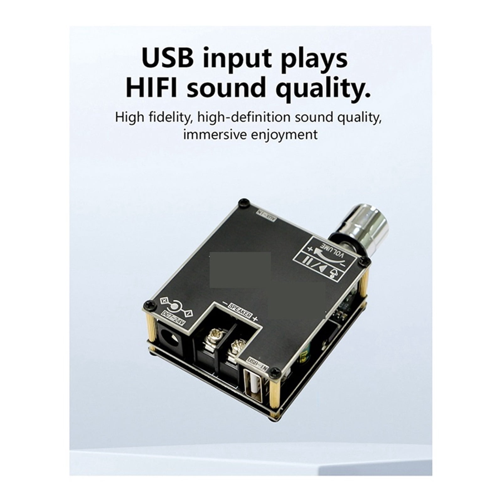 Mono Digital Amplifier Module Supports True Wireless DIY Simple Mono Amplifier ,Bass & Treble Control