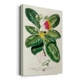 thumbnail image 2 of Imperial Tropical Botanical I Premium Gallery Wrapped Canvas - Ready to Hang, 2 of 9