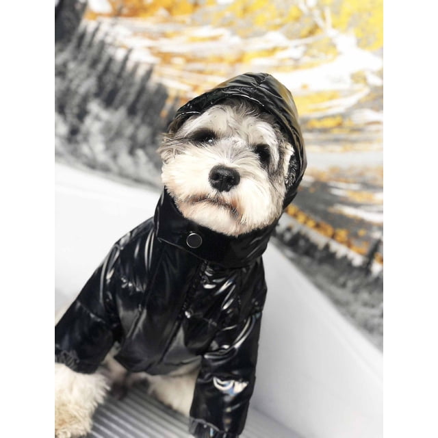 M Ropa de diseñador de lujo para perros, chaqueta de plumón, abrigo de invierno grueso y cálido, Vel