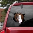 thumbnail image 2 of Funny Crack Car Sticker, 4Pcs 3D Cute Multiple Styles Horse Stickers for Cars Funny Animal Car Window Sticker, 2 of 5
