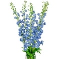 thumbnail image 6 of Northlight Real Touch™ Blue Delphinium Artificial Floral Stems, Set of 6 - 40", 6 of 9