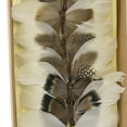 thumbnail image 3 of Saltoro Sherpi 8 Piece Feather Butterfly Accent Decor with Specimen Box, White, 3 of 5