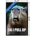thumbnail image 3 of Capybara - Pull Up Wall Poster, 22.375" x 34" Framed, 3 of 5