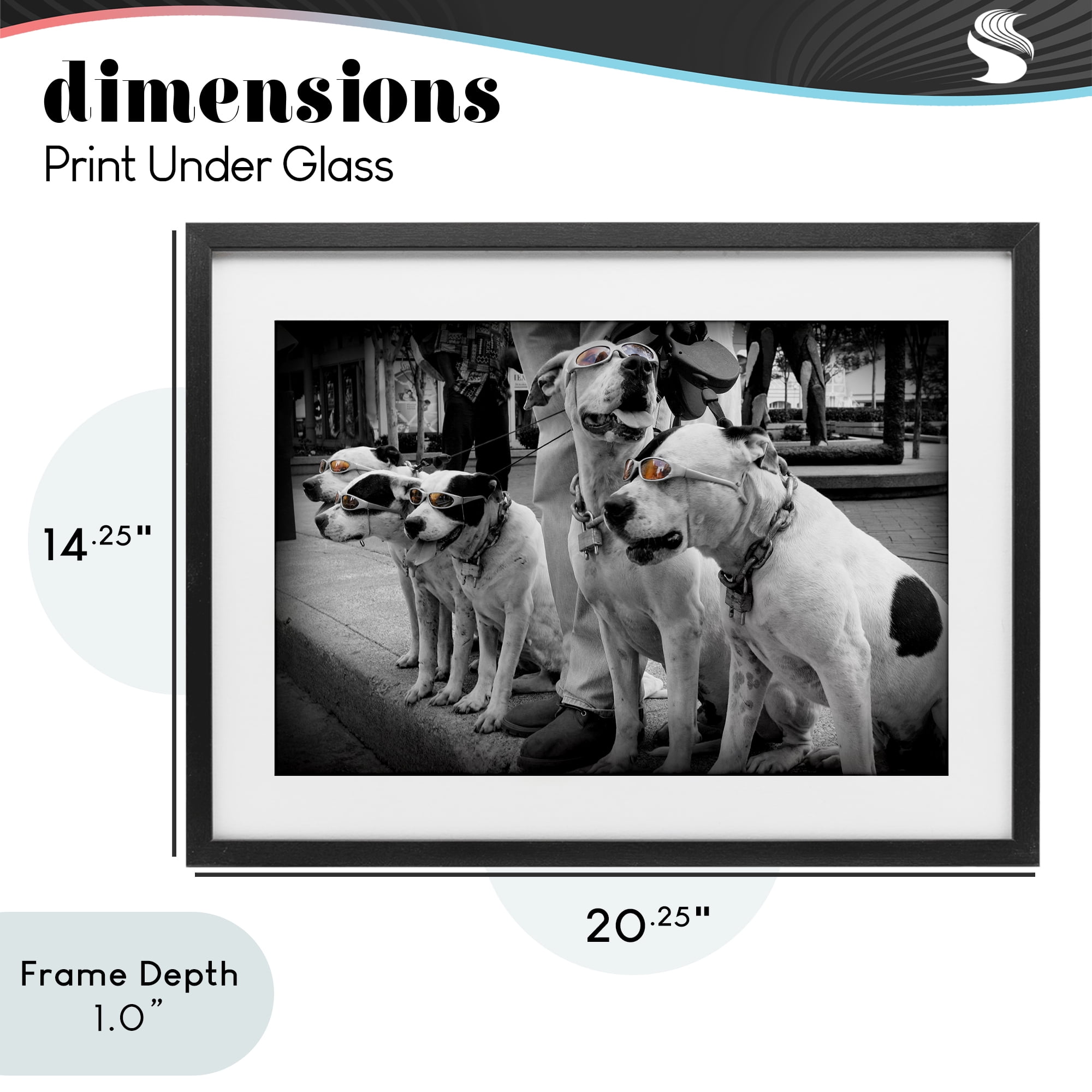 Stupell Industries Afternoon Stroll Pups Black Framed Print Under Glass, design by Scott Henderson