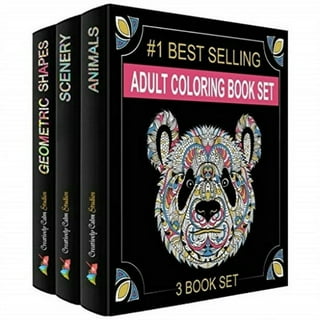 Large Print Easy Color & Frame - Stress Free (adult Coloring Book