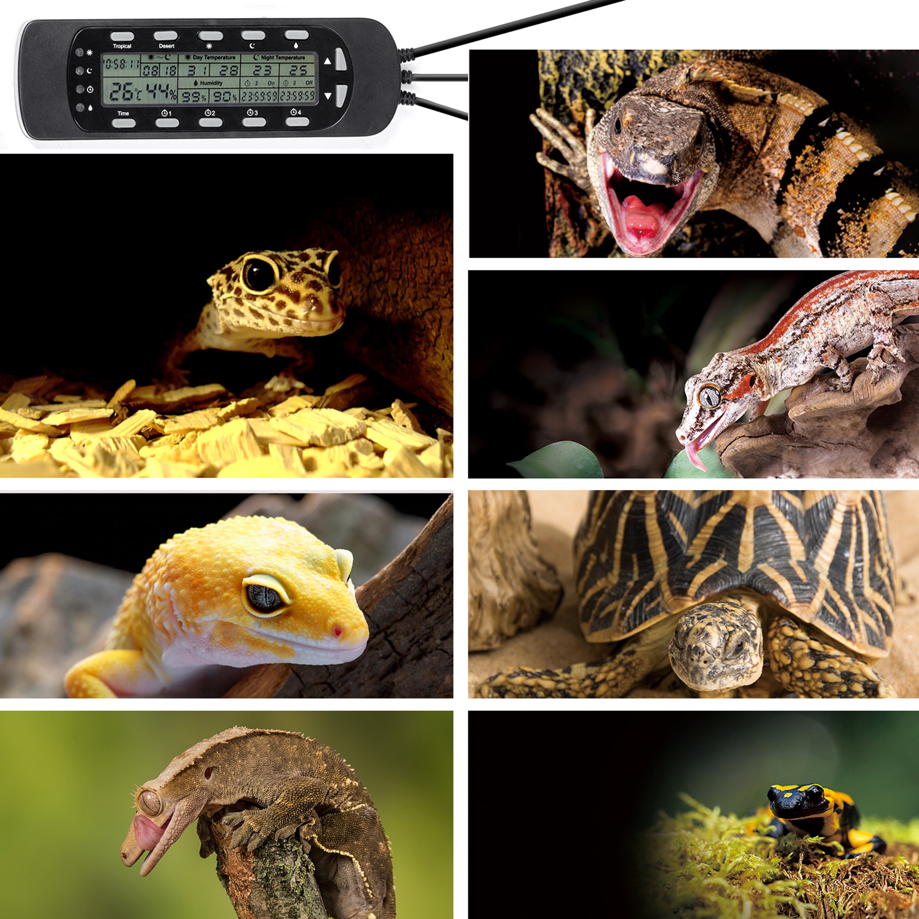 Digital Thermometer Hygrometer Controller for Reptile Terrarium
