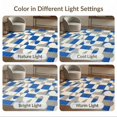 thumbnail image 7 of ODIKA 2'x3' Ultra-Soft Accent Mat, Abstract Asymmetric Line Geometric Contemporary Minimalist Design None Washable, Bare feet friendly, Easy Care Indoor rug for Bedside, Footrest, 7 of 7