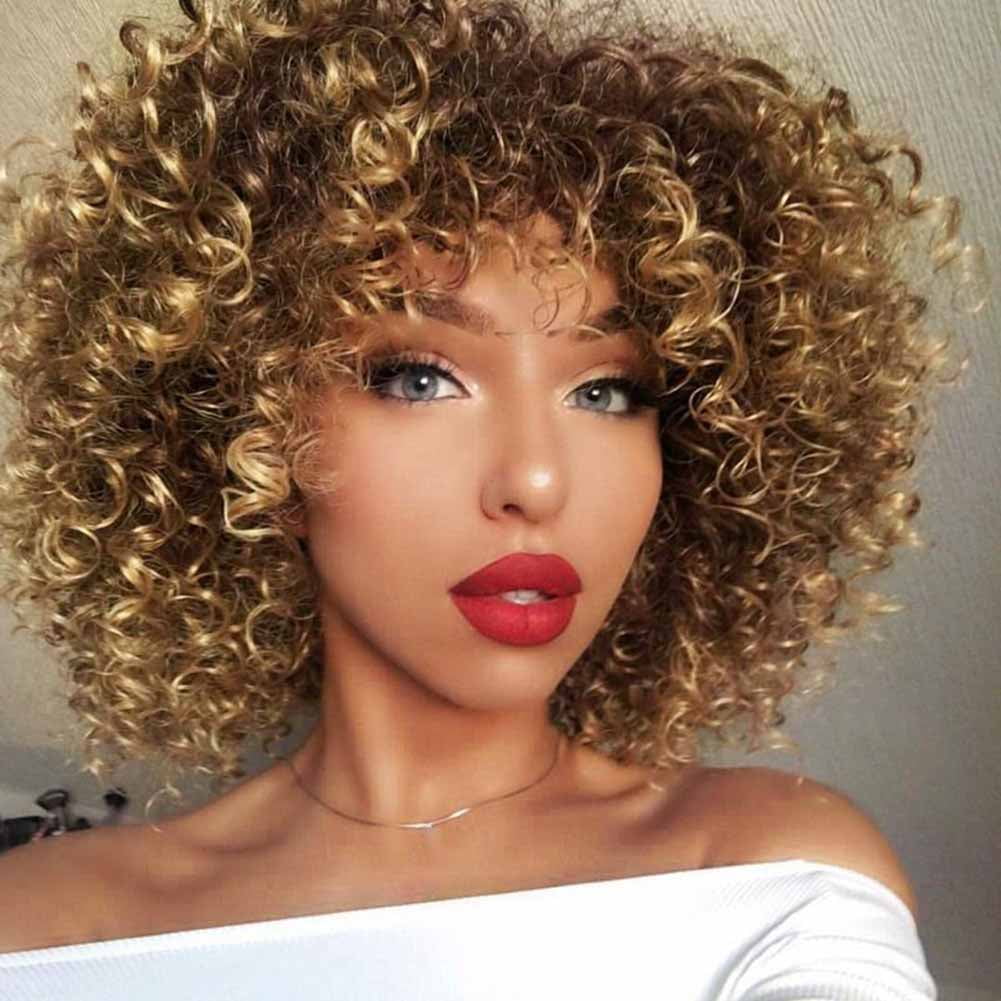 Curly Afro Wig Synthetic Heat Resistant Curly Hair Wig for Women | Walmart  Canada