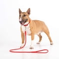 thumbnail image 3 of Rolled Leather Dog Collar for Small Pets - Durable Steel D-Ring and Metal Buckle - Bright, Comfortable Accessory, 3 of 3