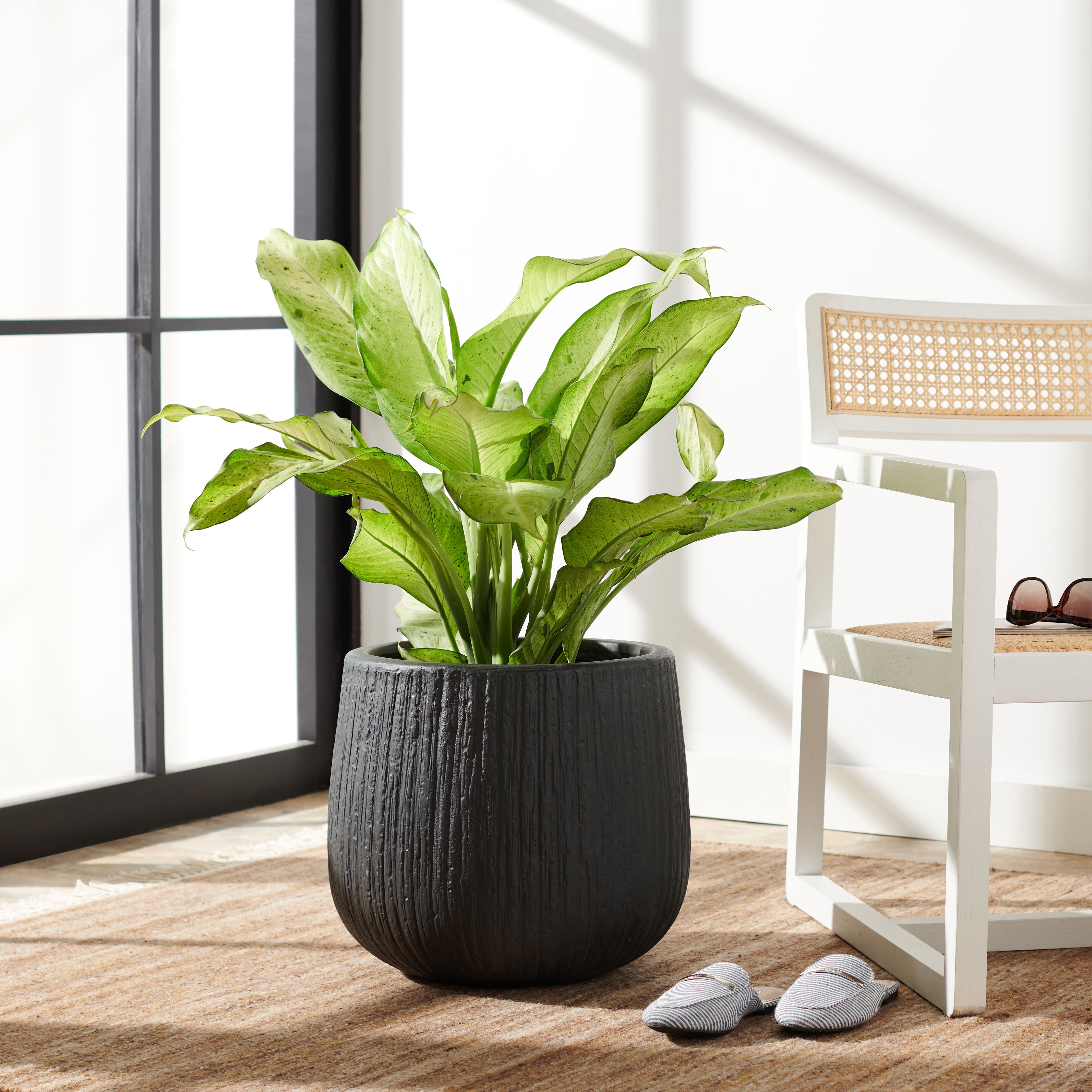 SAFAVIEH Francia Concrete Modern Solid Round Patio Planter, Black