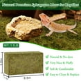 thumbnail image 2 of Halatool 1.1LB Natural Sphagnum Moss for Reptiles- 25QT Green Live Moss for Terrarium Plants Long Fiber Reptile Moss for Leopard Gecko Snake Hamsters Tortoises Frogs Lizards Salamanders, 2 of 7