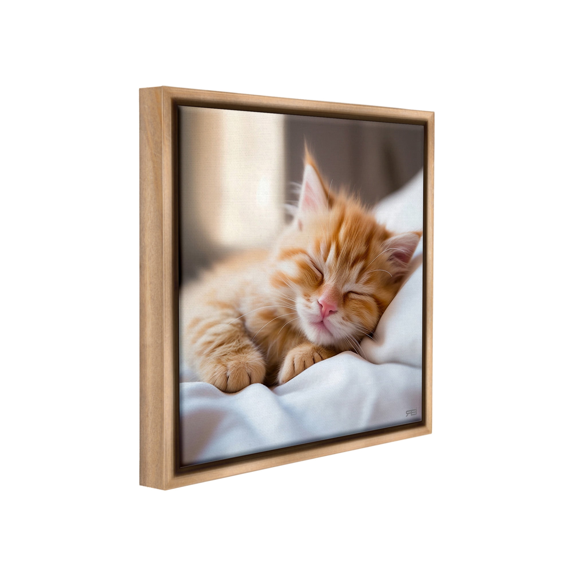 Stupell Industries Sleeping Orange Kitten Animals & Insects Painting Brown Floater Framed Canvas Art Print Wall Art, 25 x 25