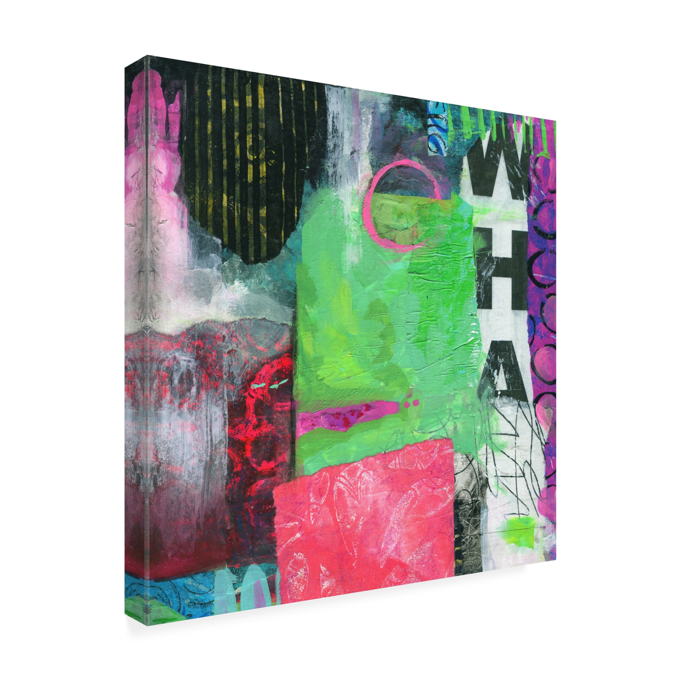 Canvas Wall Art - Fiona Stokes Gilbert 'Whatever' Wall Art for Living Room, Bedroom, or Office Décor by Trademark Fine Art - 18 x 18 Inches